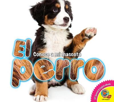 Book cover for El Perro