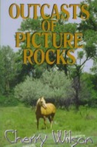 Cover of The Outcasts of Picture Rocks