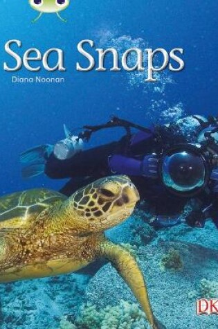 Cover of Bug Club Independent Non Fiction Year 1 Green A Sea Snaps