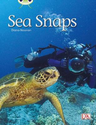 Book cover for Bug Club Independent Non Fiction Year 1 Green A Sea Snaps