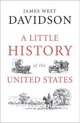 Book cover for A Little History of the United States