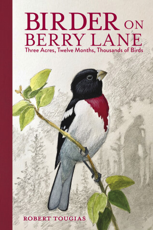 Book cover for Birder on Berry Lane