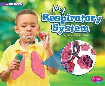 Book cover for My Respiratory System: A 4D Book