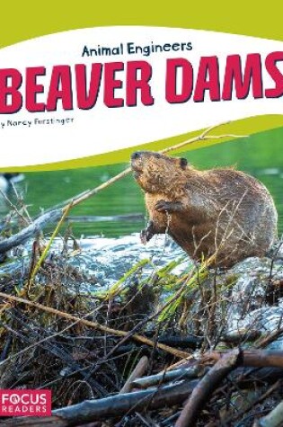 Cover of Beaver Dams