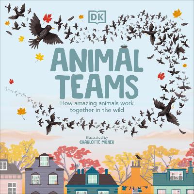 Book cover for Animal Teams