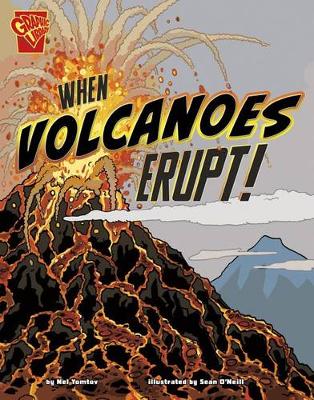 Book cover for When Volcanoes Erupt!