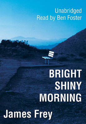 Book cover for Bright Shiny Morning
