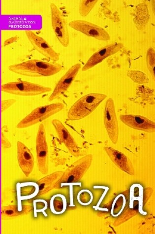 Cover of Protozoa