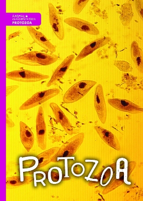 Cover of Protozoa