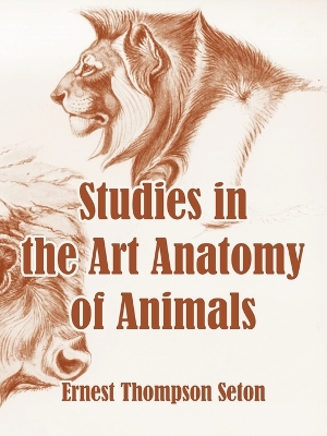 Book cover for Studies in the Art Anatomy of Animals