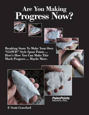 Book cover for Are You Making Progress Now?