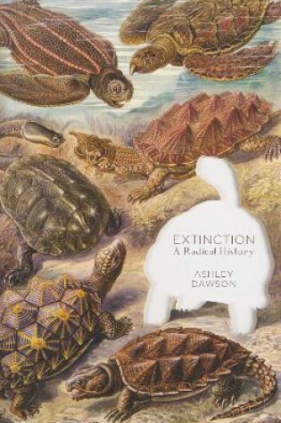 Cover of Extinction