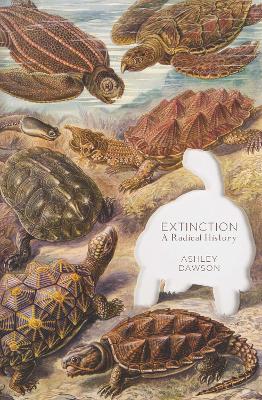 Book cover for Extinction