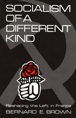 Book cover for Socialism of a Different Kind