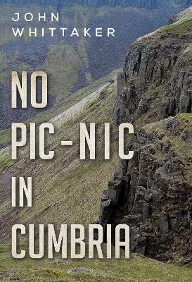 Book cover for No Pic-Nic in Cumbria