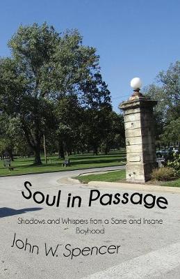 Book cover for Soul in Passage