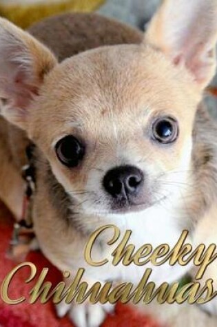 Cover of Cheeky Chihuahuas