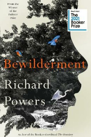 Cover of Bewilderment