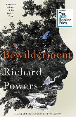 Book cover for Bewilderment