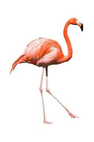 Cover of Flamingo Portrait on White Background (Birds of the World)