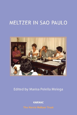 Book cover for Meltzer in Sao Paulo