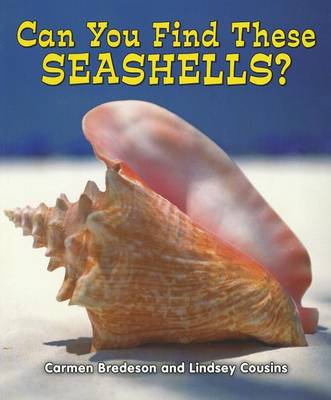 Book cover for Can You Find These Seashells?