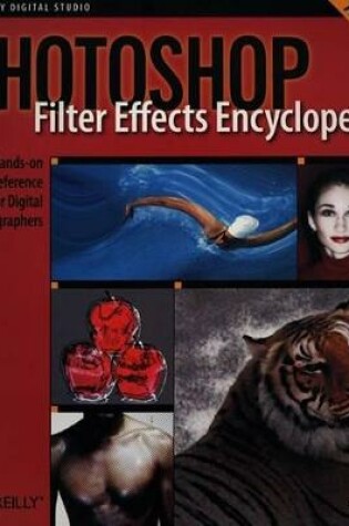 Cover of Photoshop Filter Effects Encyclopedia