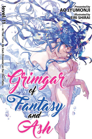 Cover of Grimgar of Fantasy and Ash (Light Novel) Vol. 11