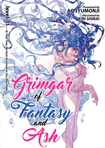 Book cover for Grimgar of Fantasy and Ash (Light Novel) Vol. 11
