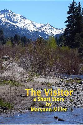 Book cover for The Visitor