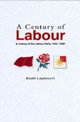 Book cover for A Century of Labour