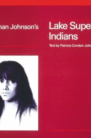 Cover of Eastman Johnson's Lake Superior Indians