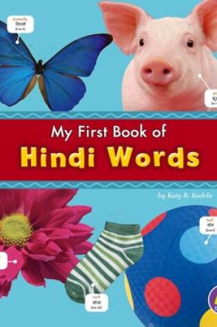 Cover of Hindi Words