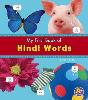 Cover of Hindi Words