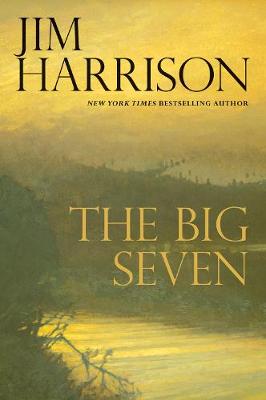 Book cover for The Big Seven