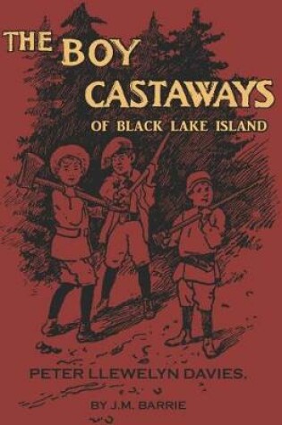 Cover of The Boy Castaways of Black Lake Island