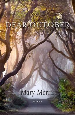 Book cover for Dear October