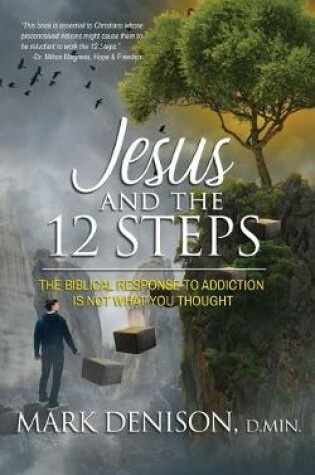 Cover of Jesus and the 12 Steps