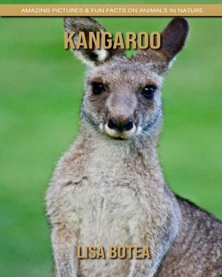 Book cover for Kangaroo