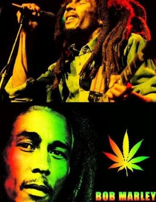 Book cover for Bob Marley