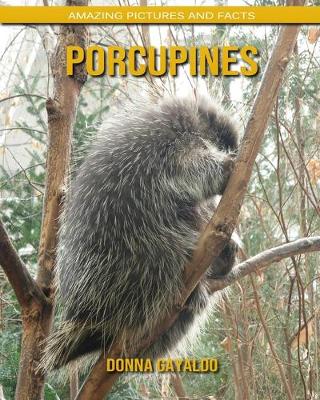 Book cover for Porcupines