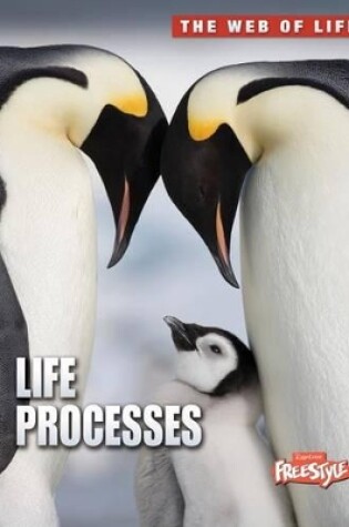 Cover of Life Processes (the Web of Life)