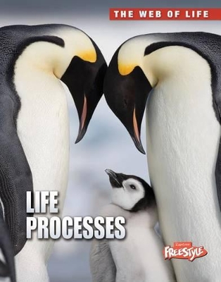 Book cover for Life Processes (the Web of Life)