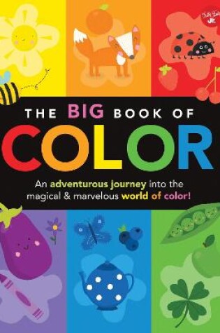 Cover of The Big Book of Color