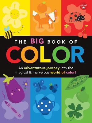 Book cover for The Big Book of Color