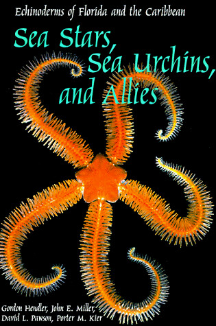 Cover of Sea Stars, Sea Urchins and Allies