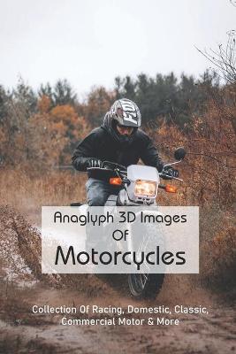 Book cover for Anaglyph 3D Images Of Motorcycles