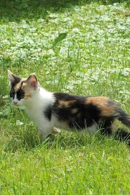 Book cover for A Calico Kitten in a Meadow, for the Love of Cats