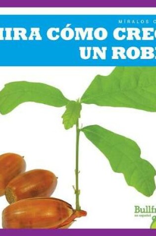 Cover of Mira Cómo Crece Un Roble (Watch an Oak Tree Grow)