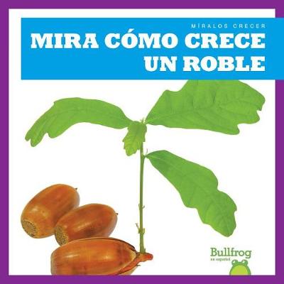 Cover of Mira Cómo Crece Un Roble (Watch an Oak Tree Grow)